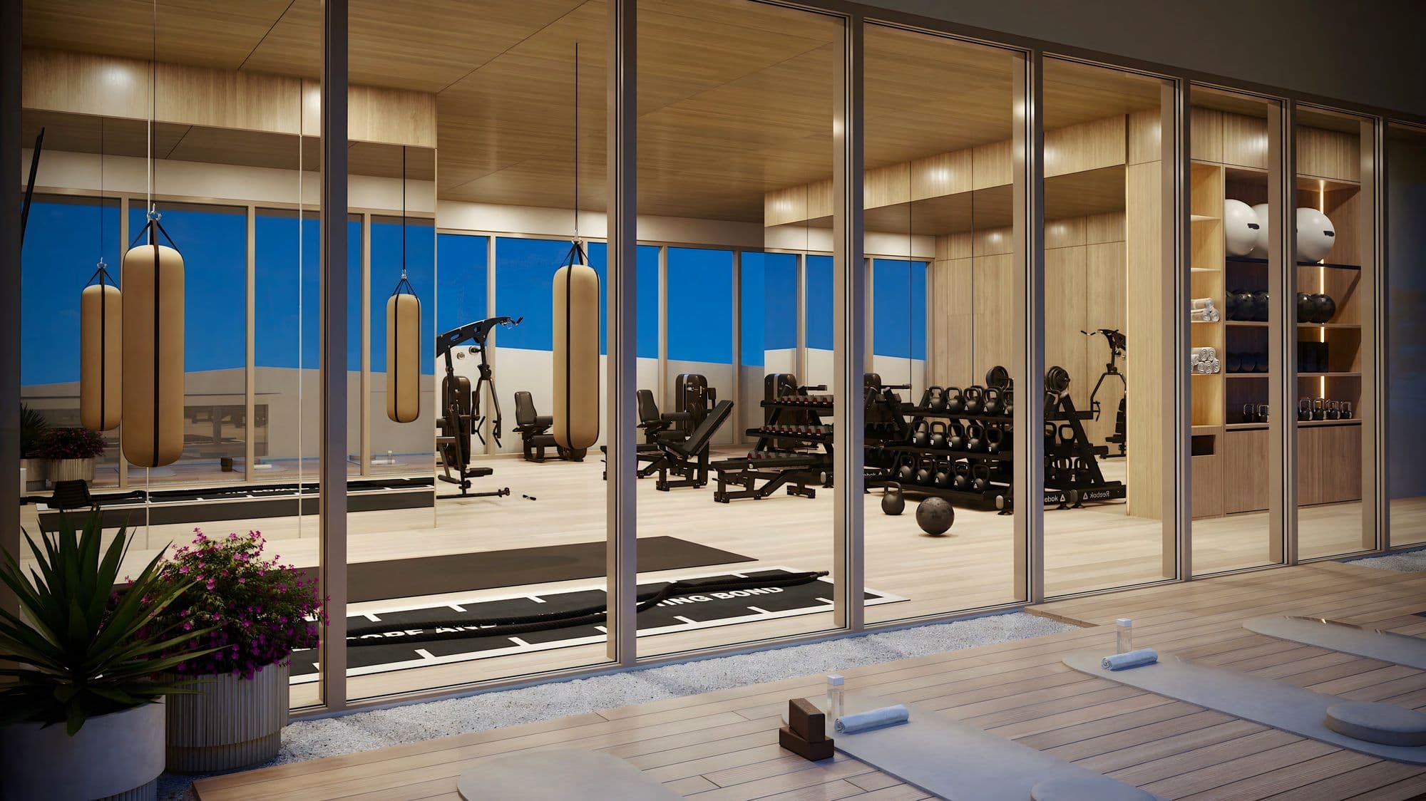 El gimnasio