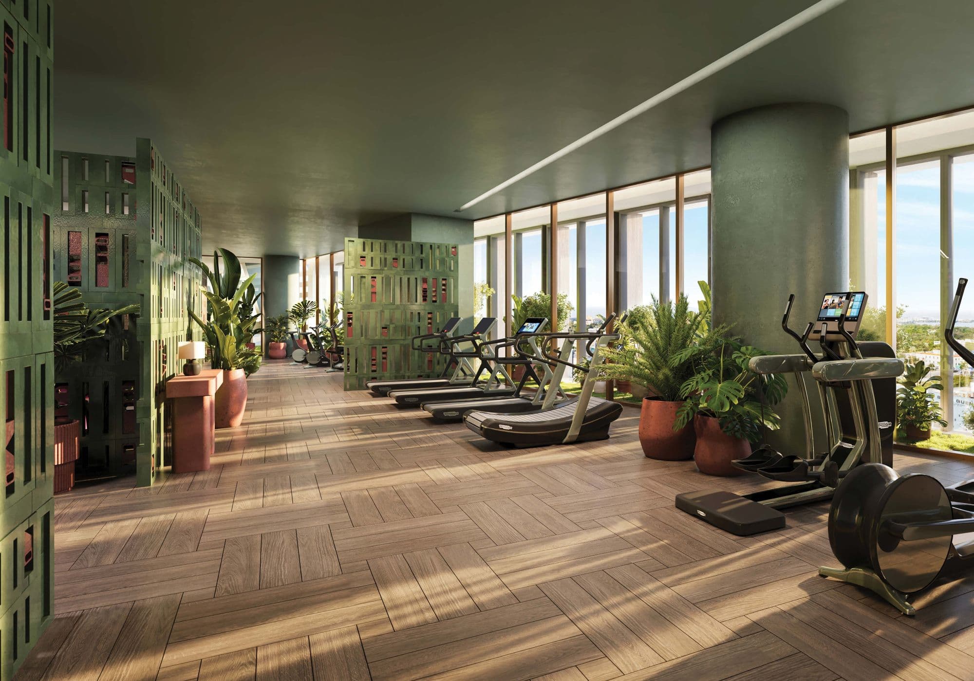 Gimnasio
