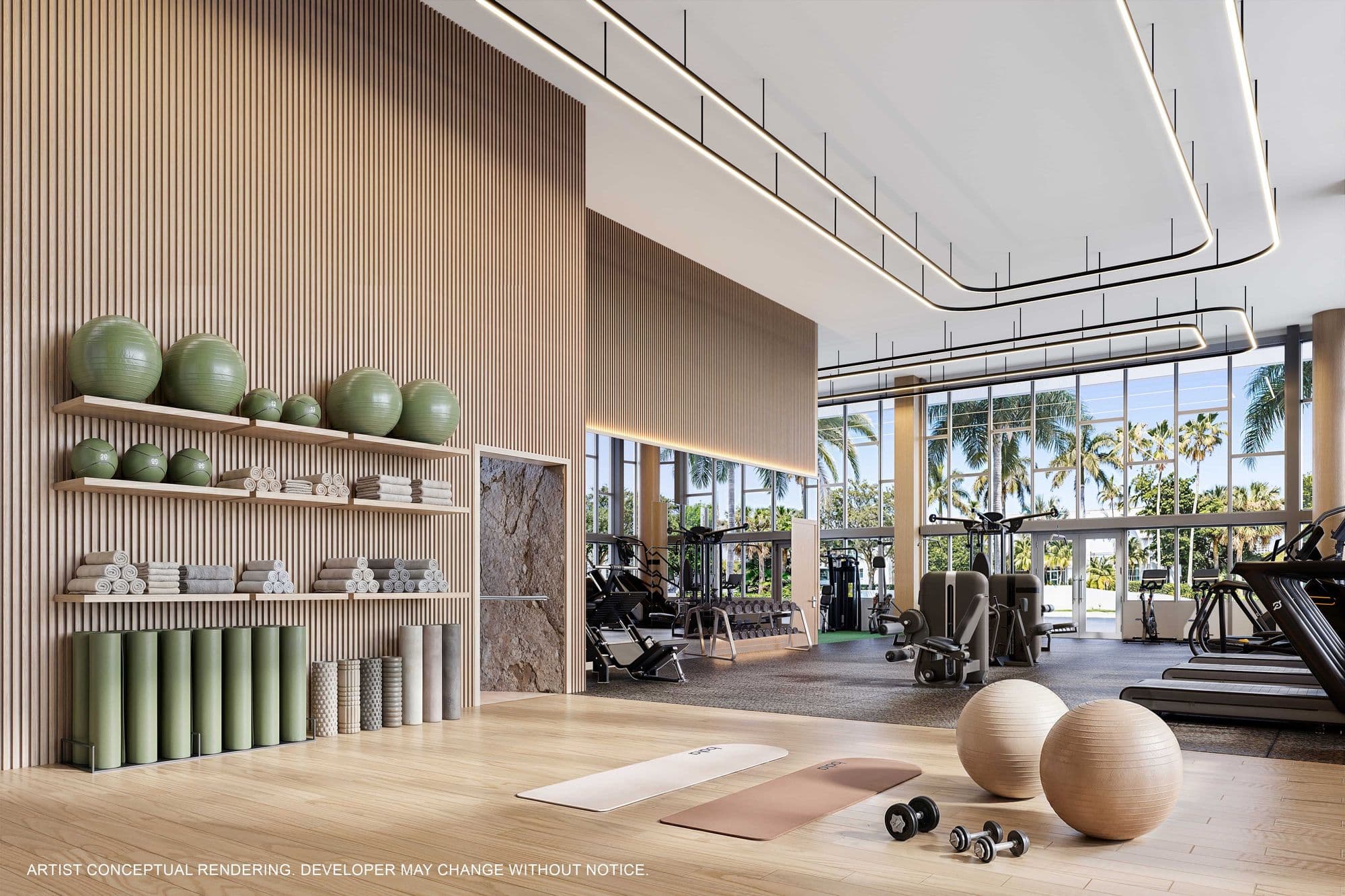 El gimnasio