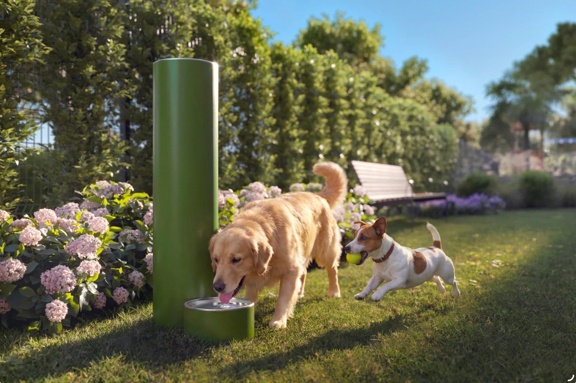 Parque para perros